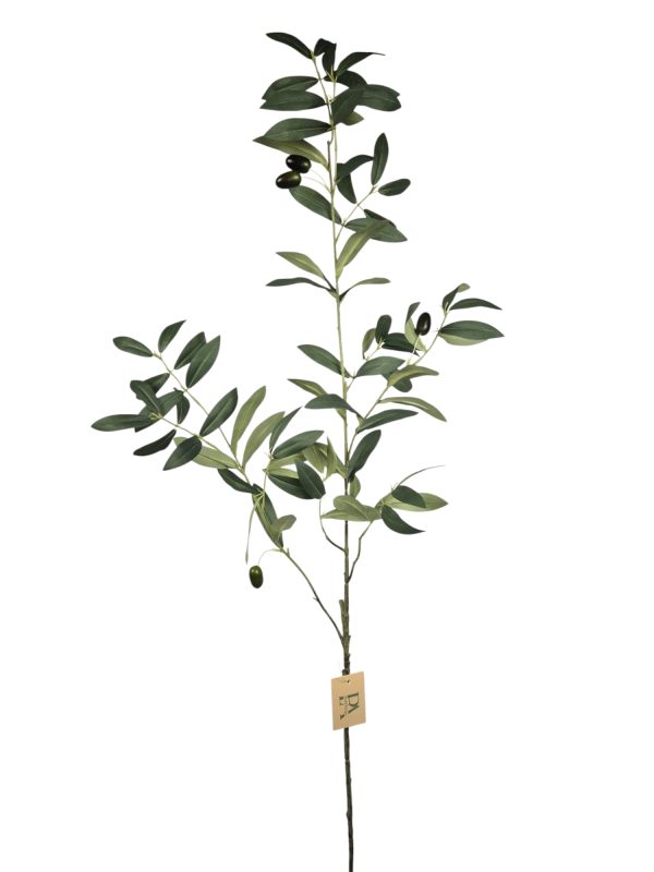 Olijftak, Groen, 105cm  (leverbaar augustus)