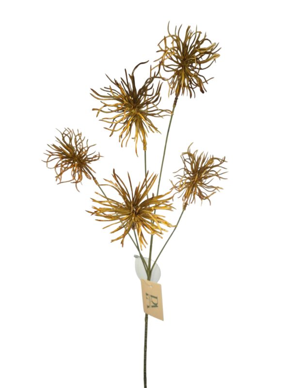 Xanthium, Oranje, 72cm  (leverbaar augustus)