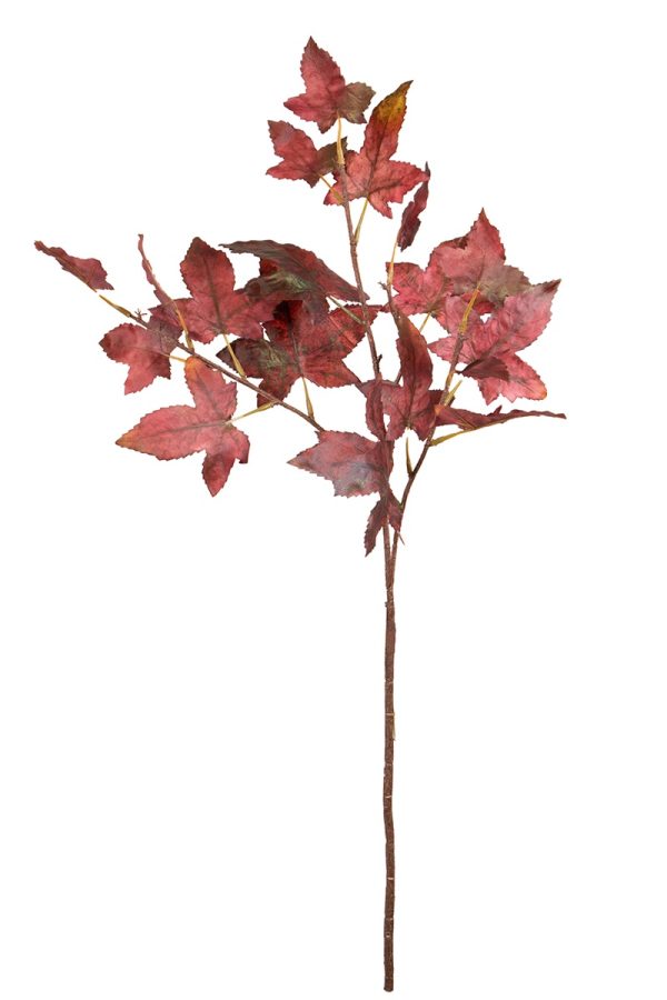 Esdoorn Maple burgundy
