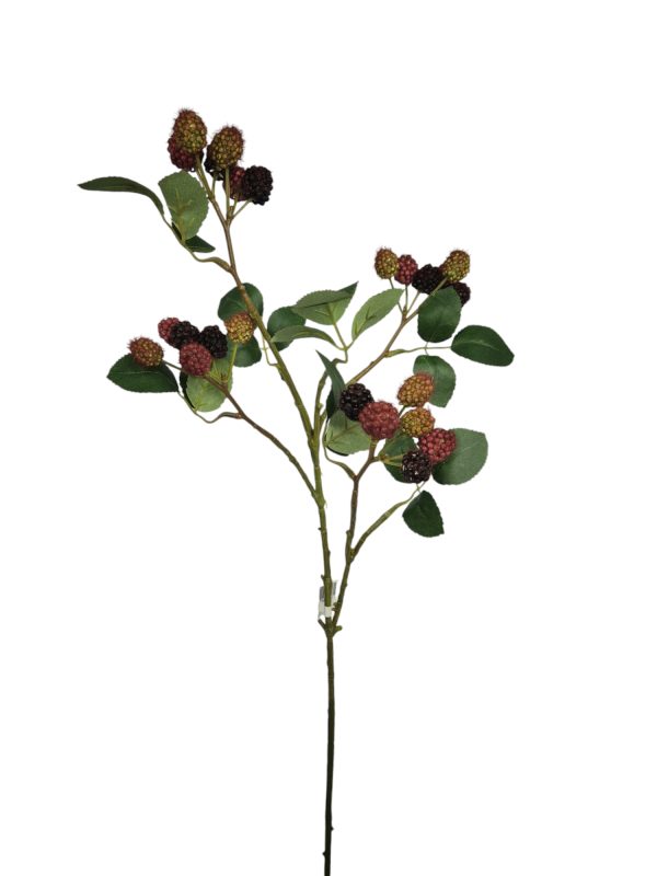 Braambes, 75cm dk rood