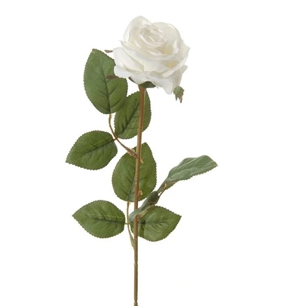 Roos 66cm wit