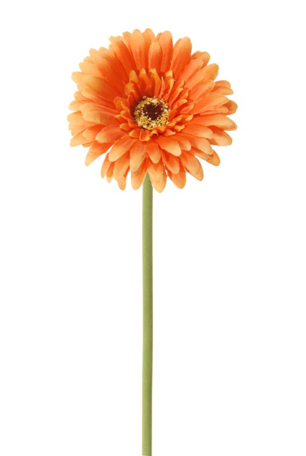 Gerbera, Oranje, 58cm