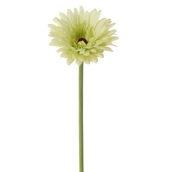 Gerbera Groen