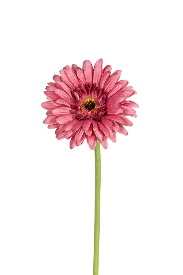 Gerbera, 58cm oud roze