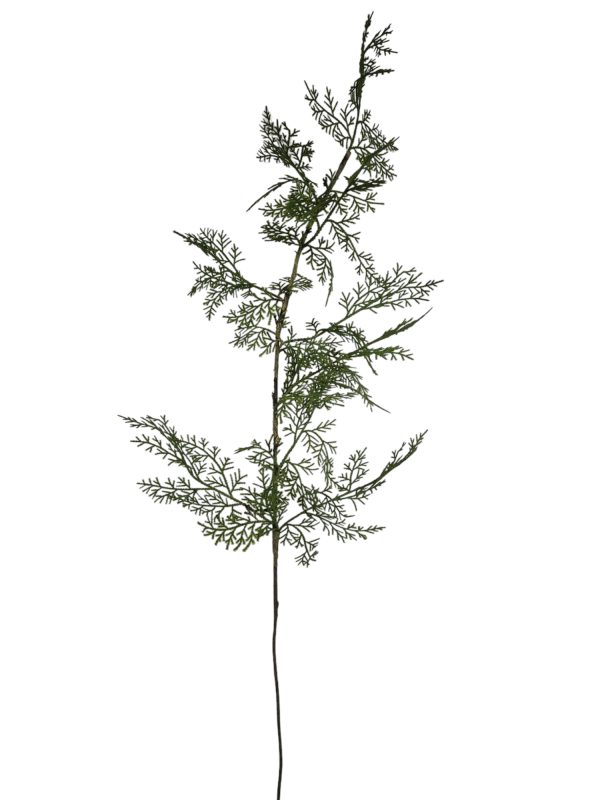 Fine conifer green, 120cm  (leverbaar augustus)