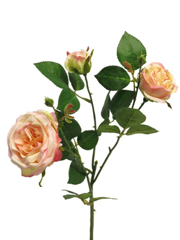 Italian rose spray x3 peach