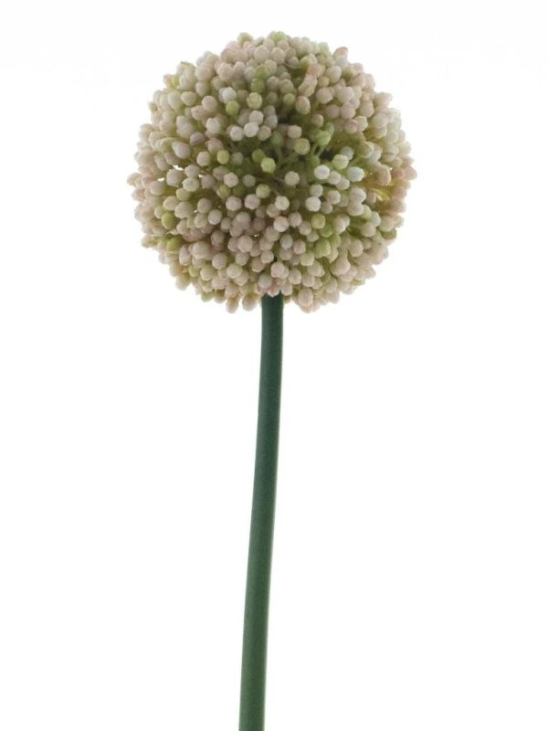 Allium spray Mura cream 66cm