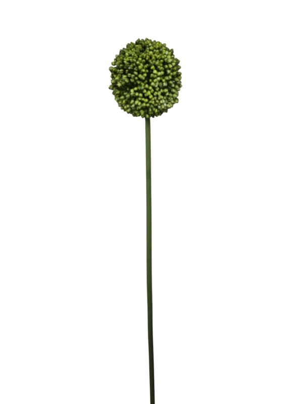 Allium spray Mura, dark green, 66cm  (Leverbaar vanaf aug 2025)