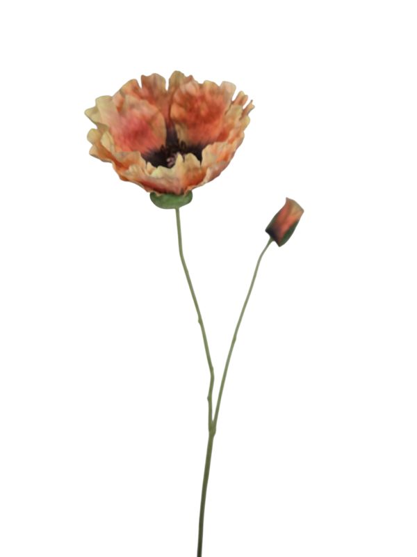 Poppy spray Ola orange 75cm (Leverbaar augstus)