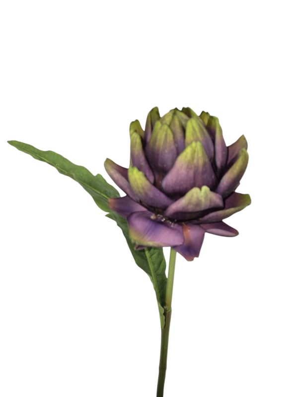 Artichoke spray Aidone purple, 75cm (Leverbaar augstus)