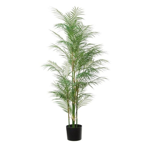 Areca palm h145cm groen