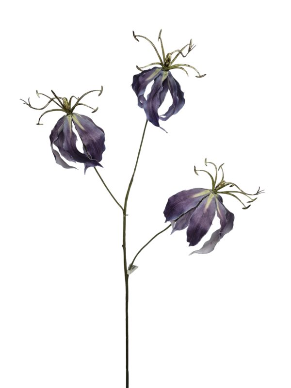Gloriosa, 80cm blw/mauve