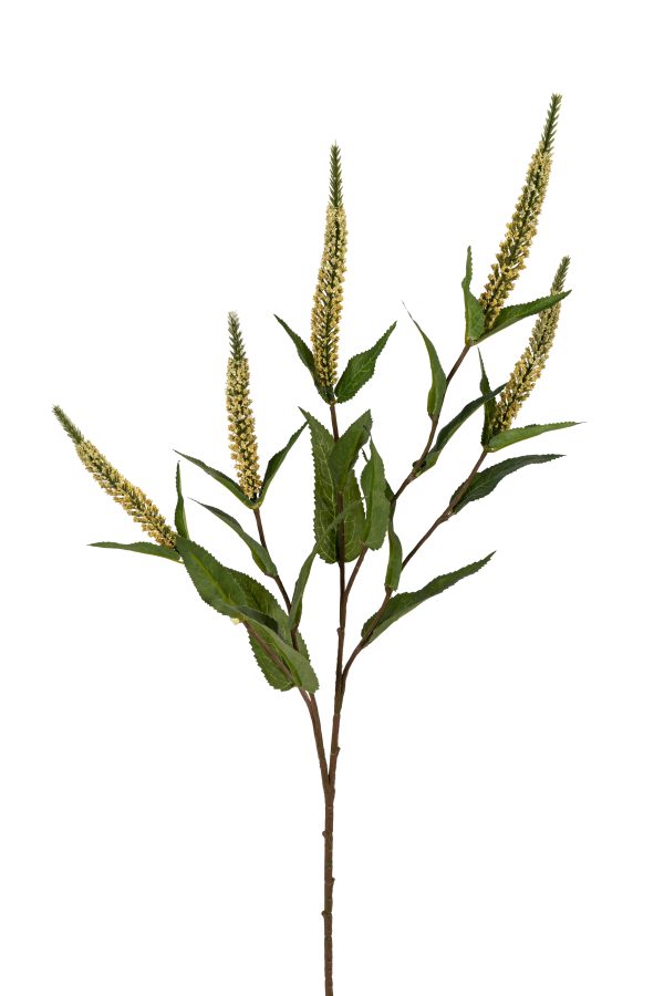 Veronica, 70cm, geel.
