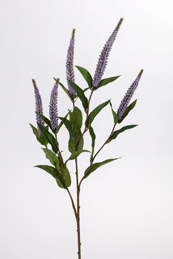 Veronica,70cm, lila.