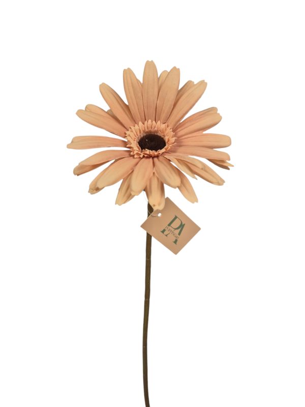 Gerbera, Salmon, 60cm (Leverbaar augstus)