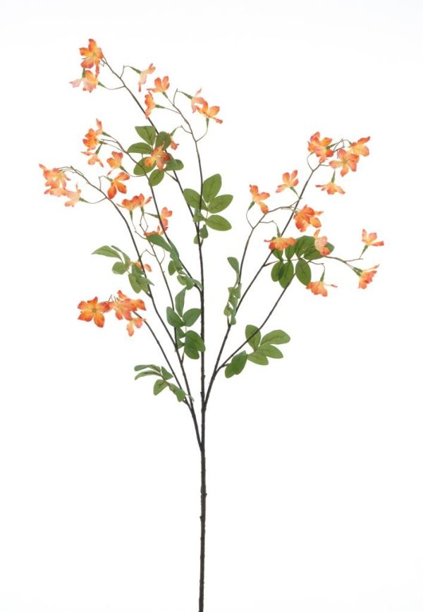 Lobelia spray orange 138cm.
