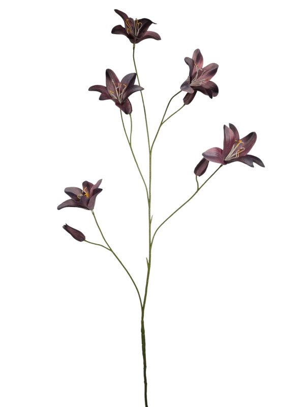 Day lily spray new purple 106cm (Leverbaar augstus)