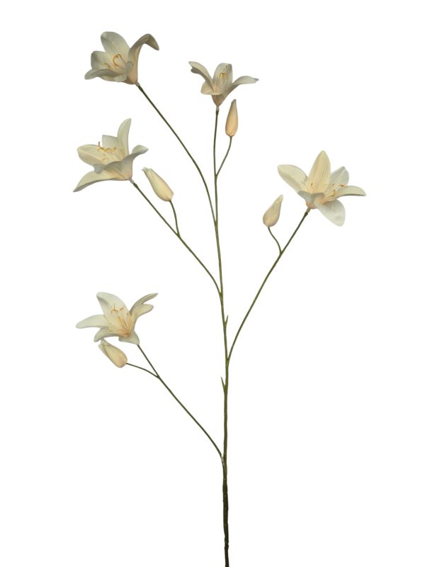 Day lily spray new beige 106cm (Leverbaar augstus)