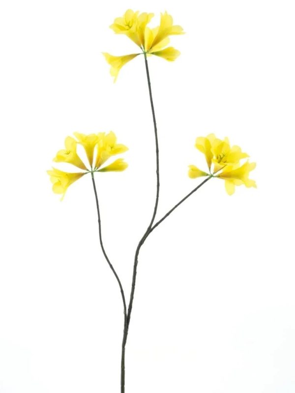 Clove spray yellow 83cm