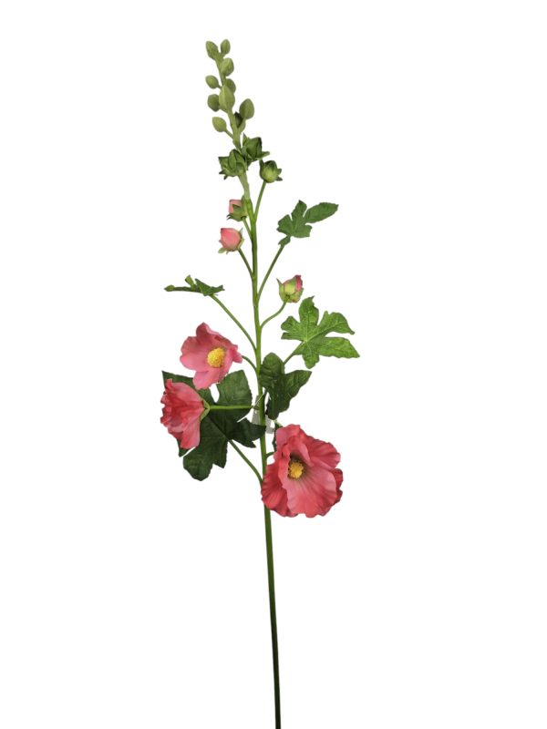 Alcea spray beauty 102cm