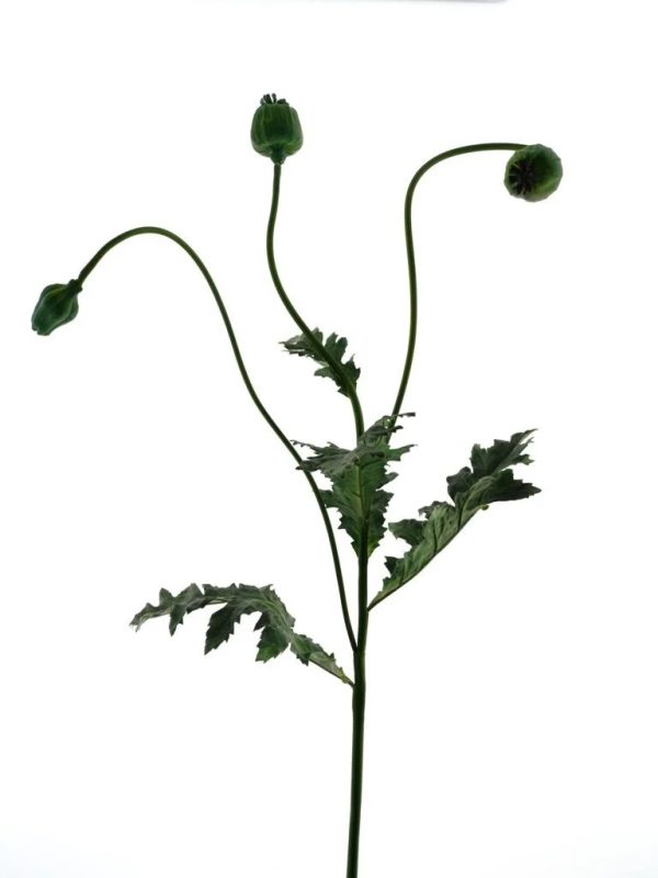 Poppy Capsuie spray green 92cm Leverbaar vanaf aug 2025