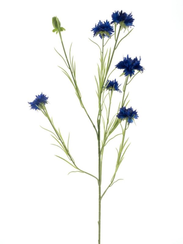 Cornflower spray James dk blue 90cm