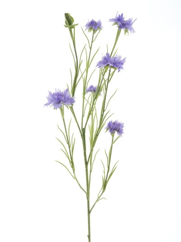 Cornflower spray James purple 90cm