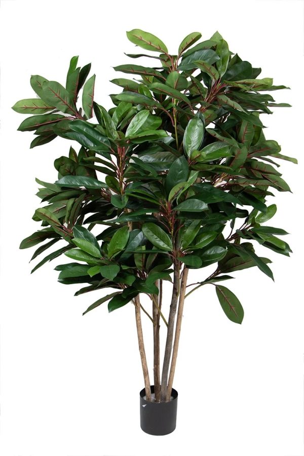 Schefflera,120cm p groen