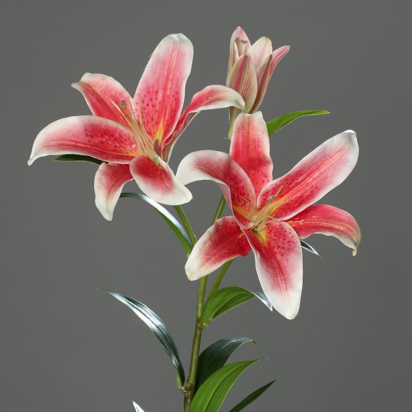 Lelie spray with 2 flowers and 1 bud, 88 cm,_x000D_
fuchsia