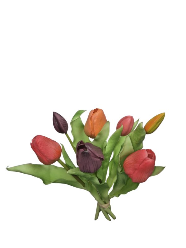 Tulip bundle, tulp, 30cm, Hot mix