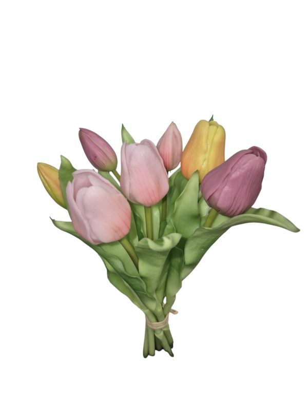 Tulip bundle, tulp, 30cm, Pastel mix