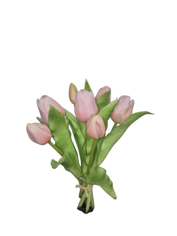 Tulip bundle, tulp, 30cm, Soft pink