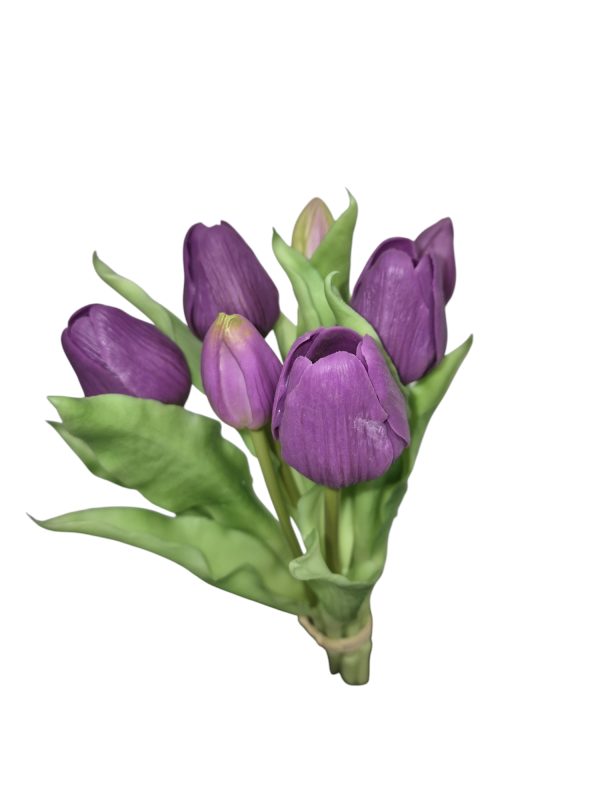 Tulip bundle, tulp, 30cm, Purple