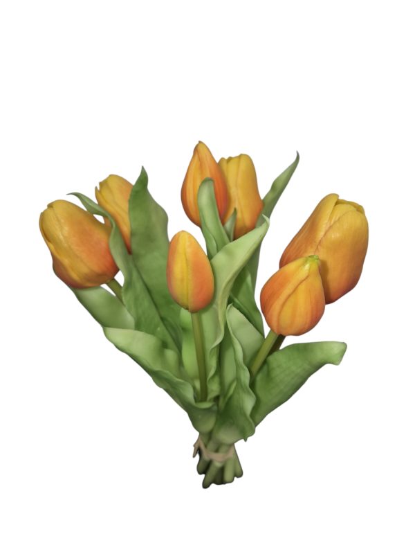 Tulip bundle, tulp, 30cm, Orange