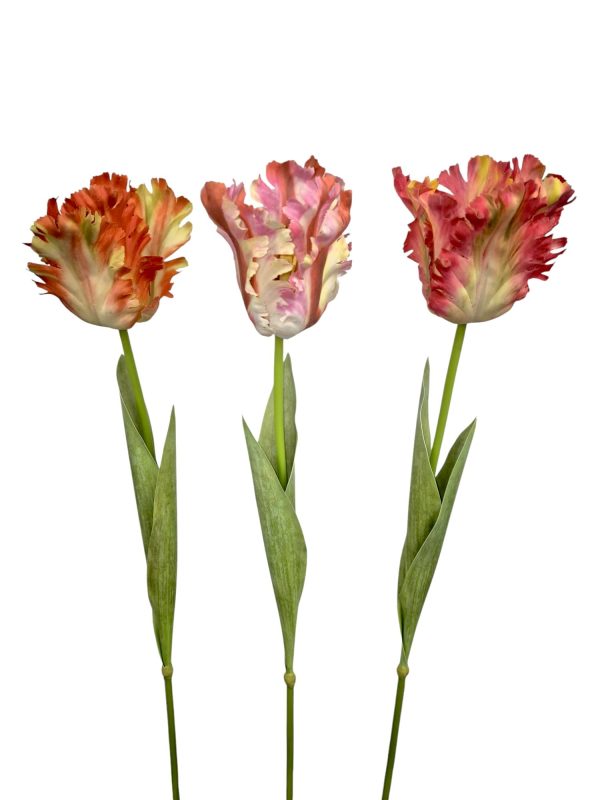 Tulip, Real Touch, leverbaar vanaf dec 2025