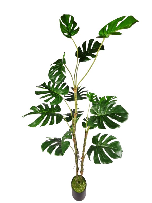 Monstera new collection, Green, 160cm
