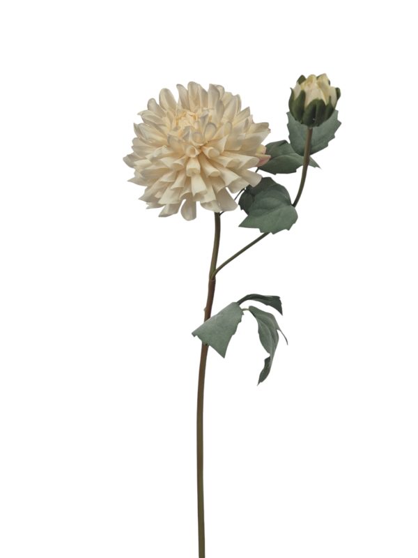 Dahlia Klein, off white.