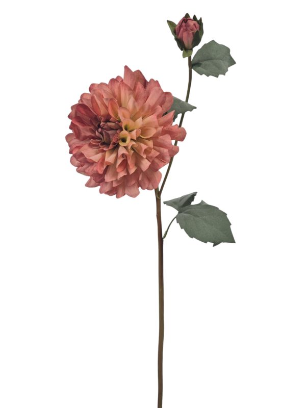 Dahlia Klein, Pink.