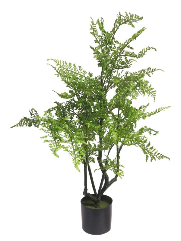 Leather fern tree in pot green 85cm
