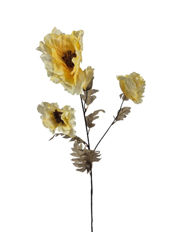 Poppy, Yellow.