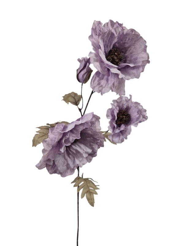 Poppy, Purple.