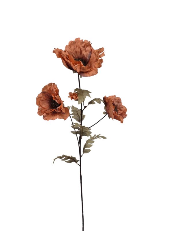 Poppy, Orange.