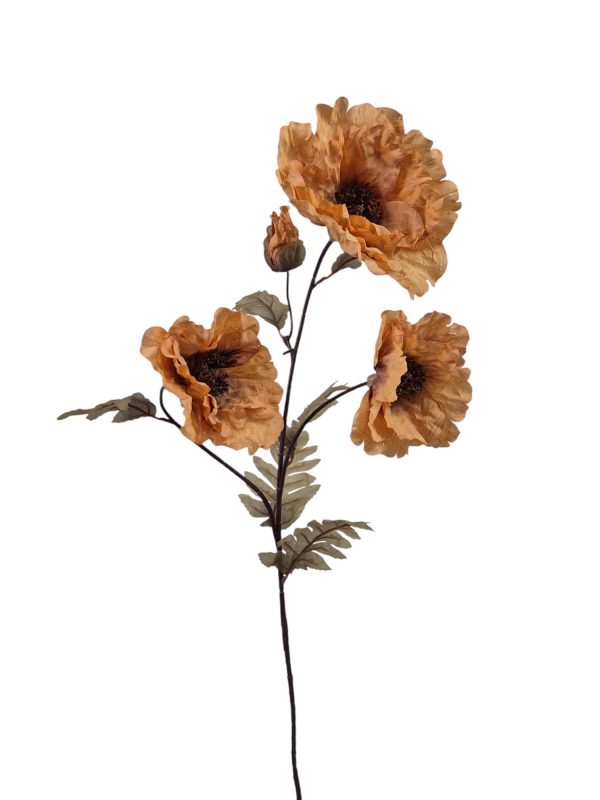 Poppy, Bric.