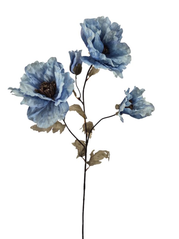 Poppy, Bleu.