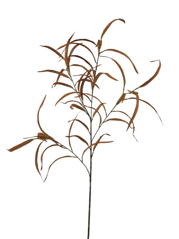 Fine Leaf, Orange 110cm.