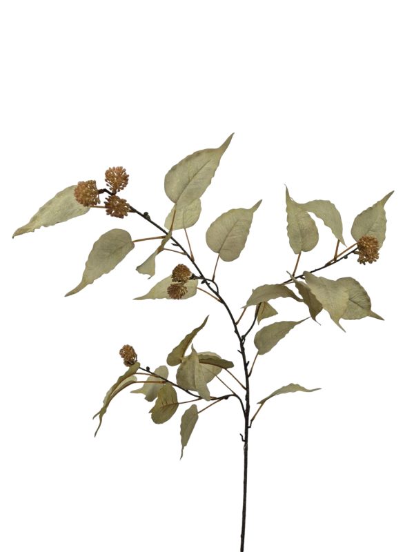 Leaf Berry, Beige.