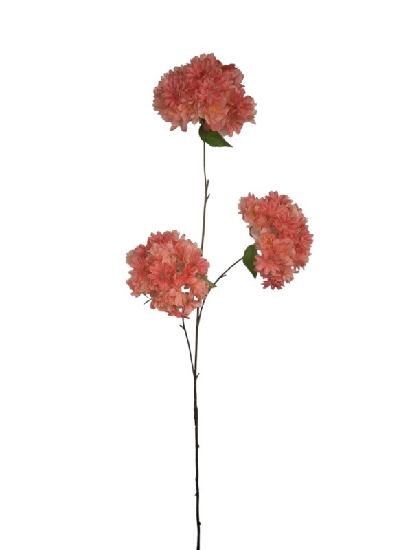 Prunus, Blossom, Rose Coral, 85cm
