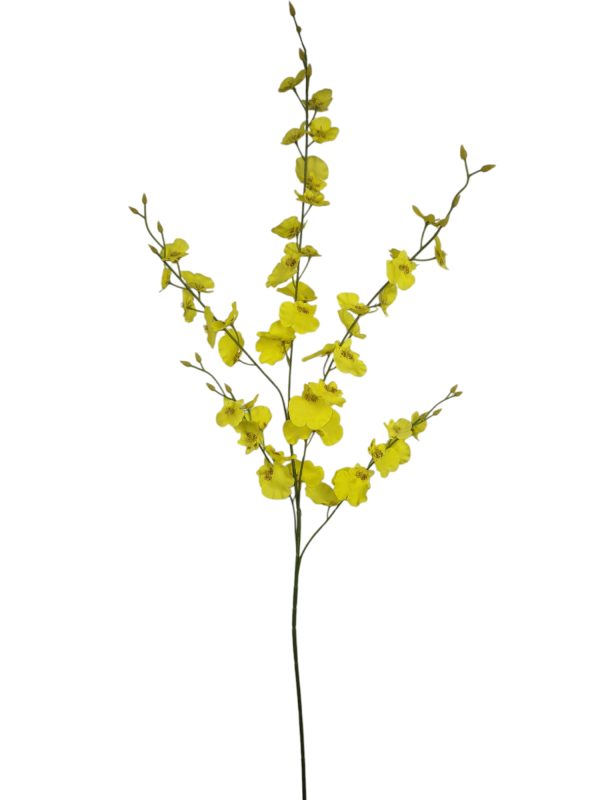 Oncidium, Yello, 93cm.