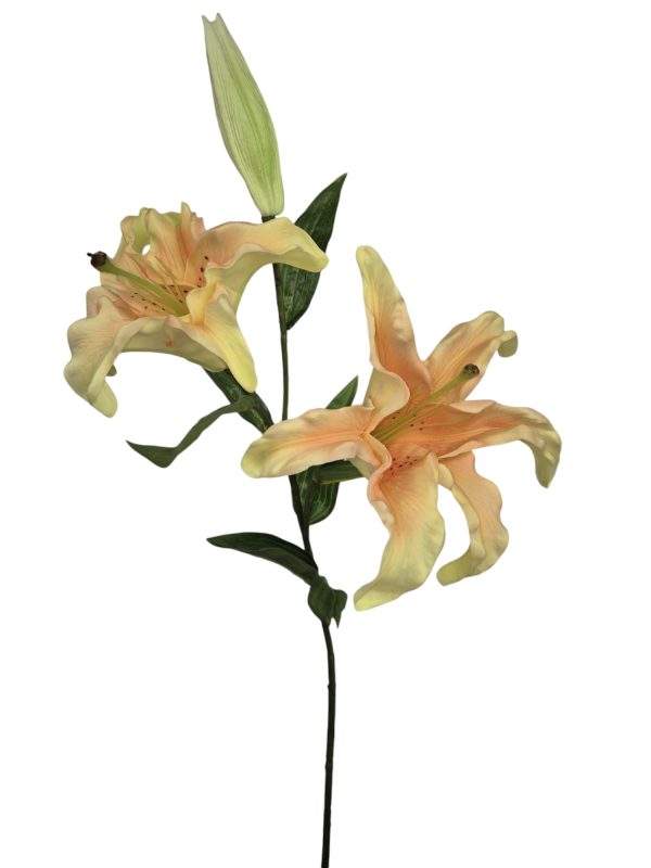 Lily, Peach, 80cm, Real Touch.