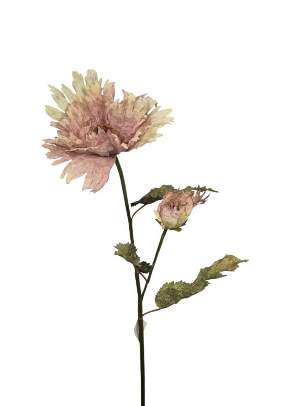Poppy's, pink, 76cm
